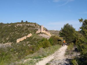Torre del Cañavete