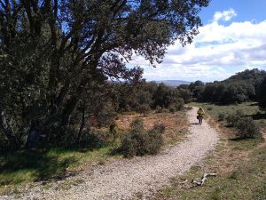 Camino de Antonino. Ascenso al mirador de Valhondo