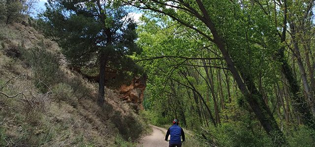 Camino del Agua Soriano (Camino de Antonino)
