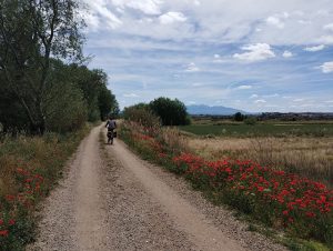 Camino Natural del Ebro
