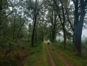 Pista entre Dressel y Kasterlee