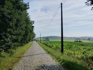 Camino en Bellegem