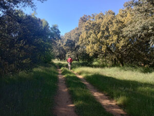 Montes Torozos. Ruta de los comuneros