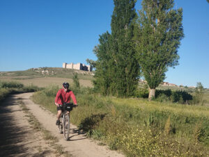 Castillo de Montealegre