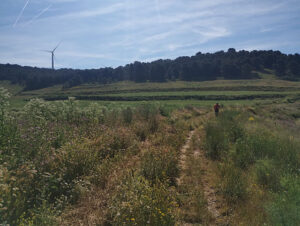 De Valverde de Campos a Castromonte. Ruta de los comuneros