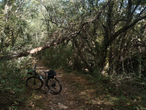 Sendero junto al río Arlanzón