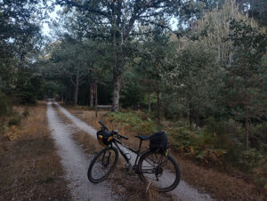 Vía Verde de la Sierra de la Demanda